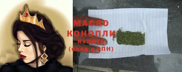 тгк Абаза
