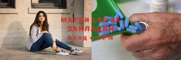 хмурый Алзамай