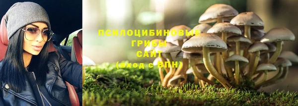 тгк Абаза