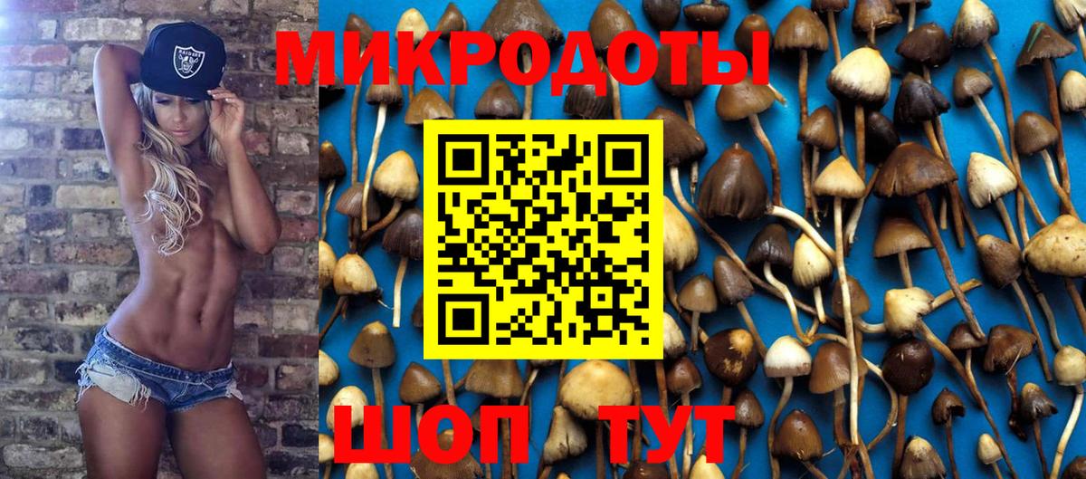Тольятти  Псилоцибиновые грибы прущие грибы  Вход с VPN 