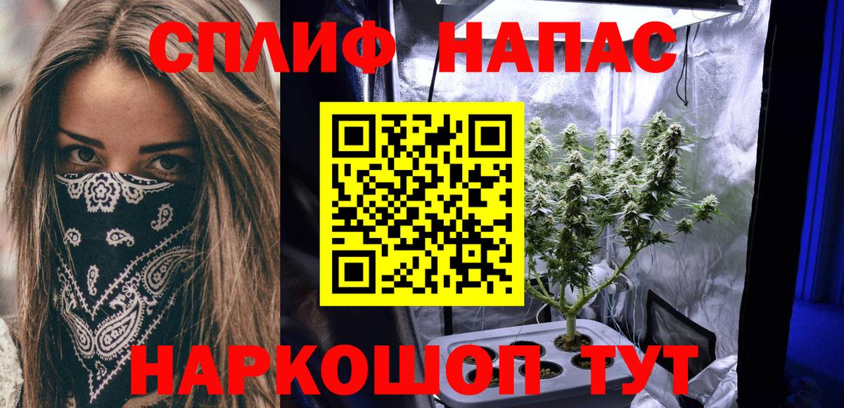 Бошки марихуана Amnesia  Канабис семена  Бошки Шишки планчик  Тольятти  Вход с VPN 